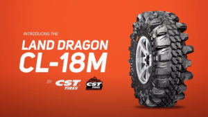 Land Dragon graphic banner