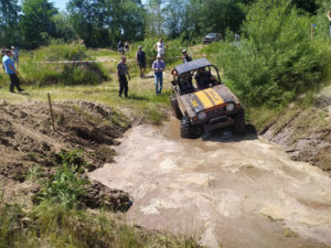 Germany Wildcat in mud