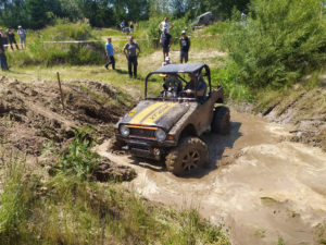 Germany Wildcat in mud